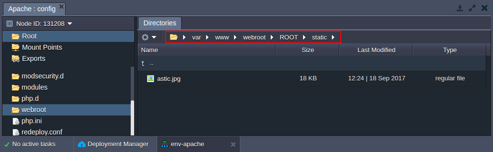 create static content folder