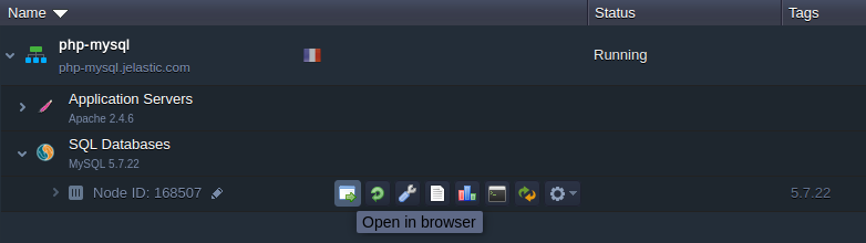 MySQL node open in browser button