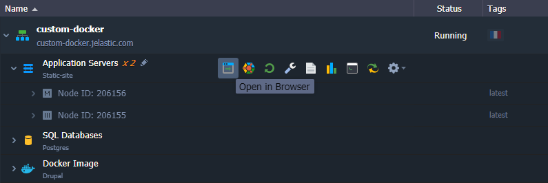 open container in browser