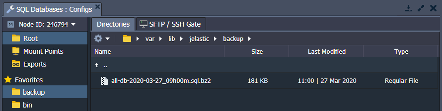database backup folder