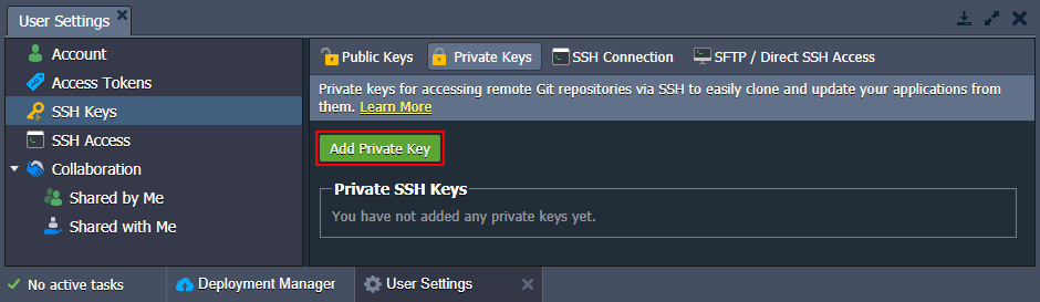 SSH keys settings