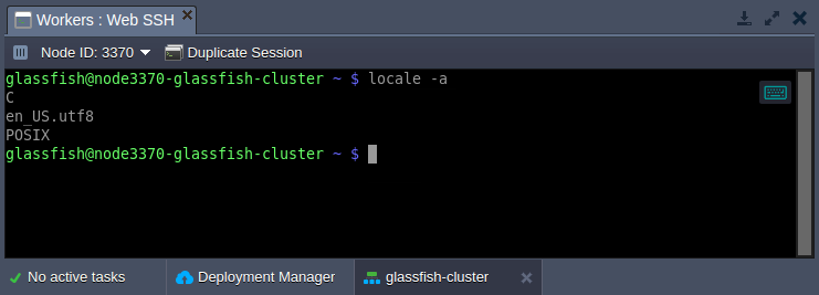 container default locale settings