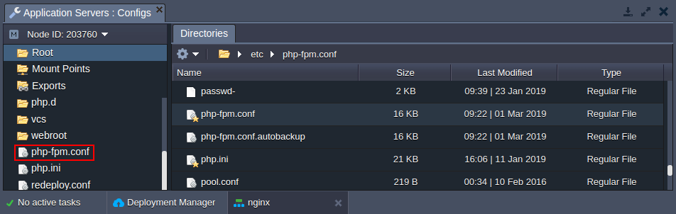 NGINX PHP php-fpm.conf file