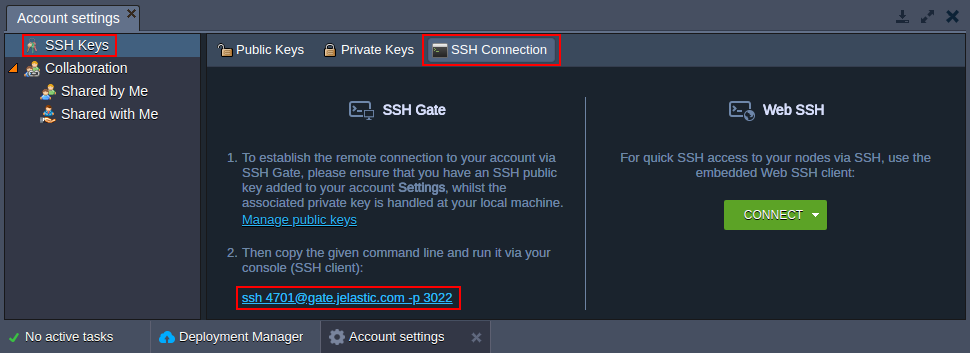 account settings ssh connect information