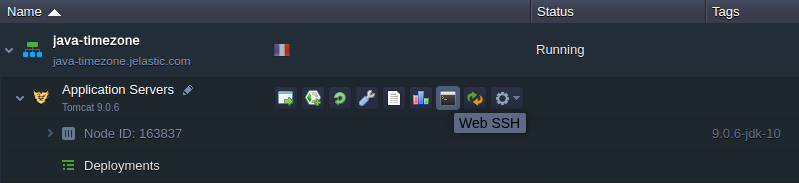 web ssh button